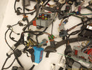 Land Rover Evoque Vehicle Wiring Pigtails-7