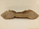 Ford Bronco Rear Left Wheel Well Trim-2