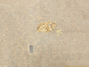 Volvo V70 Hood Insulation Pad-12