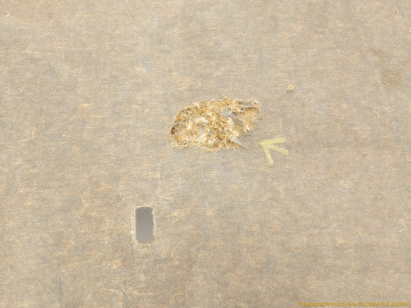 Volvo V70 Hood Insulation Pad