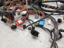 BMW Z3 Vehicle Body Wire Harness-10
