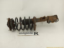 Volvo V70 Passenger Right Front Strut-1