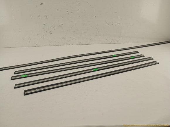 Mitsubishi Delica Set Of Exterior Window Sweep Trim