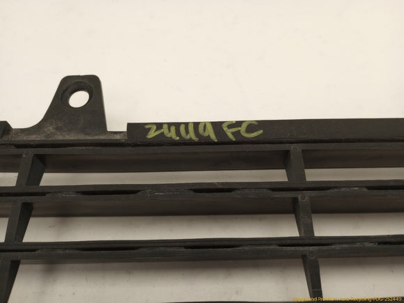 Mitsubishi Delica Front Bumper Grille Insert