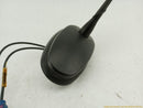 Hummer H2 Radio Antenna-7