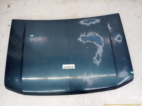 Ford Bronco Hood Bonnet Panel