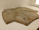 Jaguar XK8 Hood Insulation Pad-11