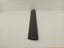 Land Rover LR4 Passenger Right Front Door Lower Trim-3