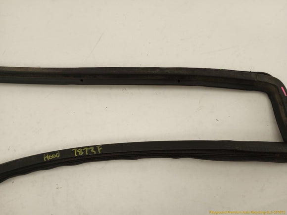 Cadillac CTS Front Hood Seal Molding