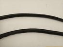 Cadillac CTS Front Hood Seal Molding-4