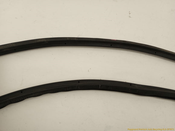 Cadillac CTS Front Hood Seal Molding
