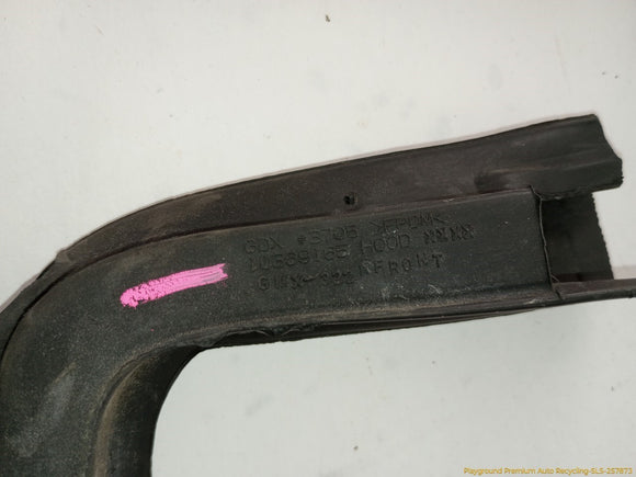 Cadillac CTS Front Hood Seal Molding