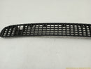 BMW 323i Front Bumper Lower Grille-4