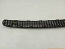 BMW 323i Front Bumper Lower Grille-7