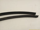 Cadillac CTS Pair Of Front Door Inner Molding-7