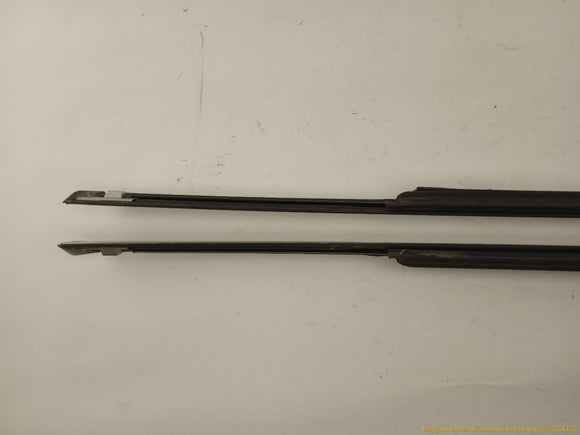 Cadillac CTS Pair Of Front Door Outer Molding