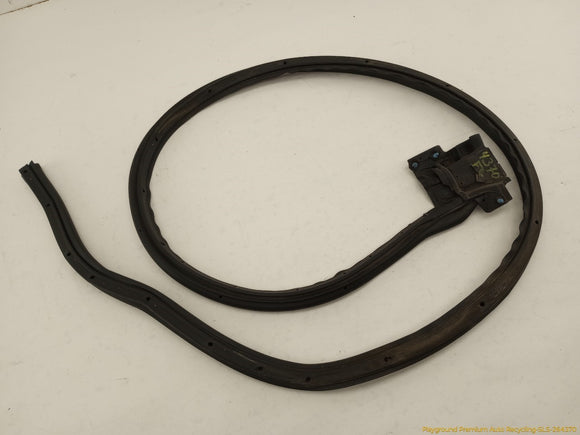 Cadillac CTS Set Of Left Front Door & Mirror Molding Seal