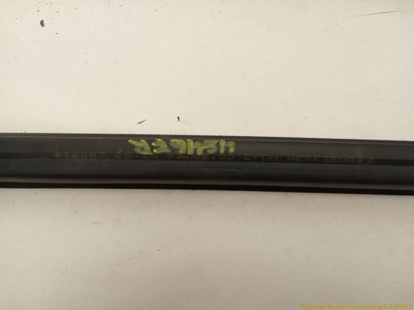 BMW 323i Set Of Exterior Window Sweep Trim
