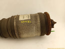 Land Rover LR4 Driver Left Rear Air Strut-4