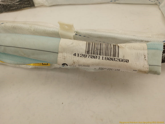 BMW 323i Driver Left Side Curtain Airbag
