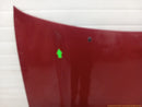 Toyota 4Runner Hood Bonnet Panel-6