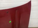 Toyota 4Runner Hood Bonnet Panel-8