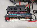 BMW 323i Full Car Wire Harness-2