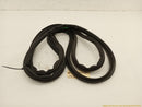 Pontiac Firebird Trunk Lid Seal Weatherstrip-6