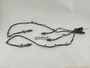 Maserati Quattroporte Oxygen Sensors Set-1