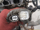 Honda Prelude **AS IS** Engine Long Block-10