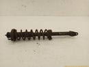 Honda Prelude Passenger Right Rear Strut-6