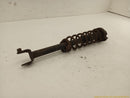 Honda Prelude Passenger Right Rear Strut-11