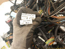 Jaguar XK8 Full Car Wire Harness-6