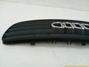 Audi TT **AS IS** Front Bumper Upper Grille-6