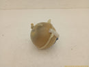 Audi TT Coolant Reservoir-9