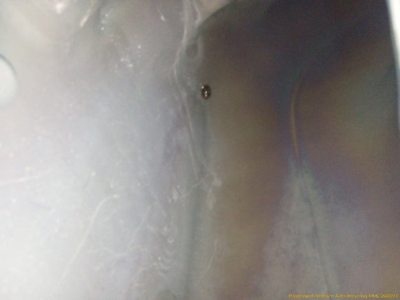 Audi TT Fuel Gas Tank
