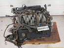 Lincoln Mark VIII Engine Assembly-1