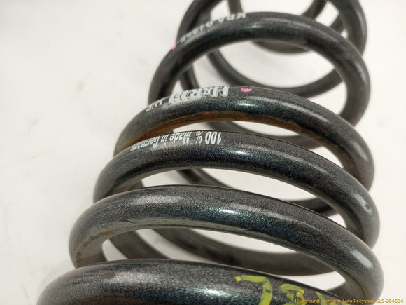 Volkswagen GTI Pair Of Rear Coil Springs