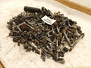 Volkswagen GTI Dismantling Hardware Fasteners Bolts & Nuts-6