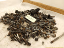Volkswagen GTI Dismantling Hardware Fasteners Bolts & Nuts-9