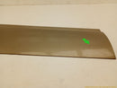 Ford Excursion Driver Left Front Lower Door Trim Molding-3