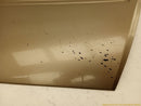 Ford Excursion Passenger Right Front Lower Door Trim Molding-5