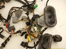 Jaguar XK Vehicle Wiring Pigtails-6