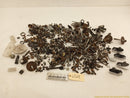 Saab 9-5 Dismantling Hardware Fasteners Bolts & Nuts-1