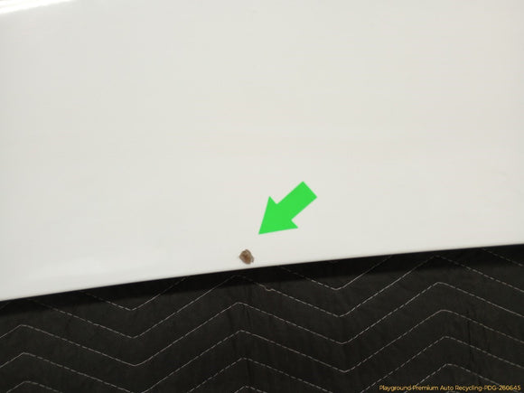 Ford Excursion Hood Bonnet Panel