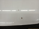 Ford Excursion Hood Bonnet Panel-9