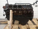 Ford Excursion Engine Short Block-5