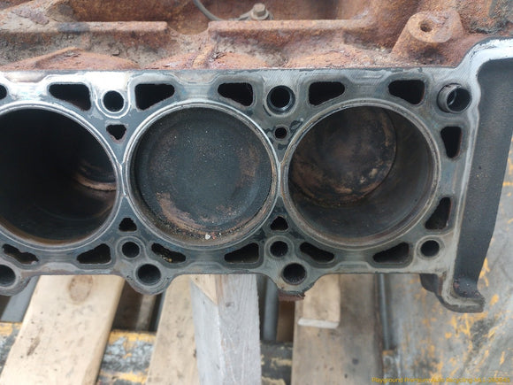 Ford Excursion Engine Short Block