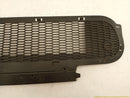Mini Cooper S Front Bumper Lower Grille-4