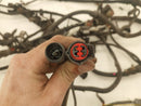 Ford Excursion Engine Wire Harness-12